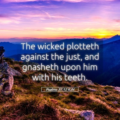 Picture 05 - Psalms 37:12 KJV - The wicked plotteth against the just, and - Bible Verse Picture