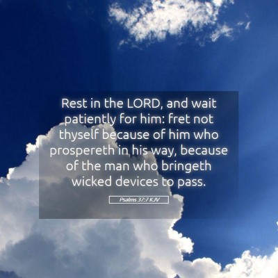 Picture 05 - Psalms 37:7 KJV - Rest in the LORD, and wait patiently for him: - Bible Verse Picture