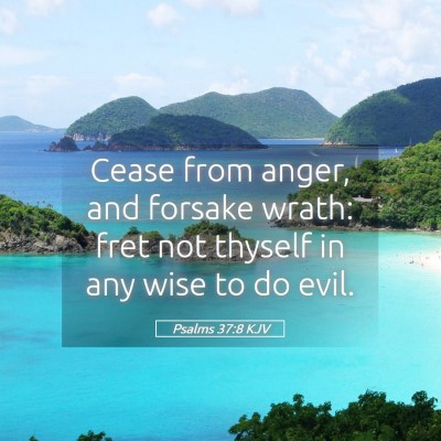 Picture 05 - Psalms 37:8 KJV - Cease from anger, and forsake wrath: fret not - Bible Verse Picture