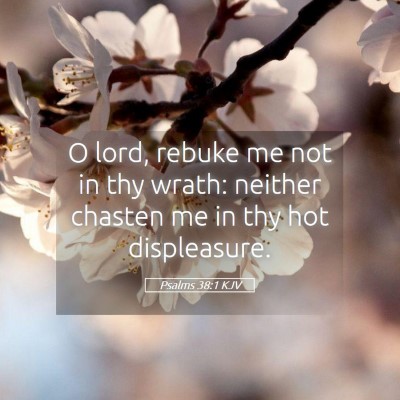Picture 05 - Psalms 38:1 KJV - O lord, rebuke me not in thy wrath: neither - Bible Verse Picture