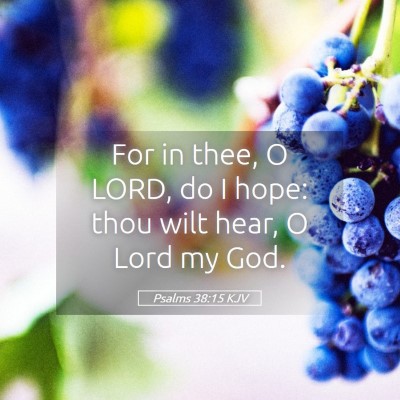 Picture 05 - Psalms 38:15 KJV - For in thee, O LORD, do I hope: thou wilt hear, O - Bible Verse Picture