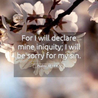 Picture 05 - Psalms 38:18 KJV - For I will declare mine iniquity; I will be sorry - Bible Verse Picture