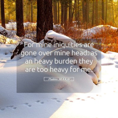 Picture 05 - Psalms 38:4 KJV - For mine iniquities are gone over mine head: as - Bible Verse Picture