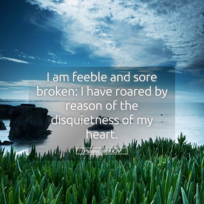 Picture 05 - Psalms 38:8 KJV - I am feeble and sore broken: I have roared by - Bible Verse Picture