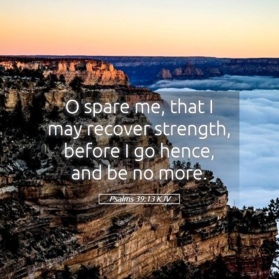 Picture 05 - Psalms 39:13 KJV - O spare me, that I may recover strength, before I - Bible Verse Picture