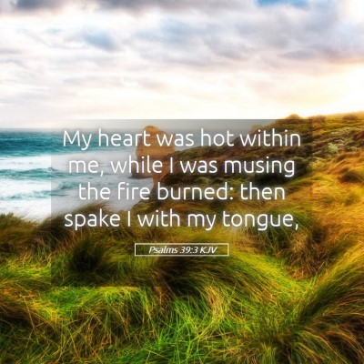 Picture 05 - Psalms 39:3 KJV - My heart was hot within me, while I was musing - Bible Verse Picture