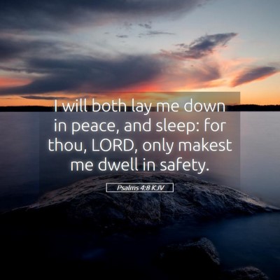 Picture 05 - Psalms 4:8 KJV - I will both lay me down in peace, and sleep: for - Bible Verse Picture