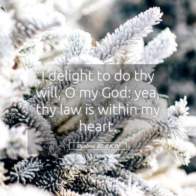 Picture 05 - Psalms 40:8 KJV - I delight to do thy will, O my God: yea, thy law - Bible Verse Picture