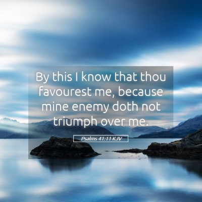 Picture 05 - Psalms 41:11 KJV - By this I know that thou favourest me, because - Bible Verse Picture