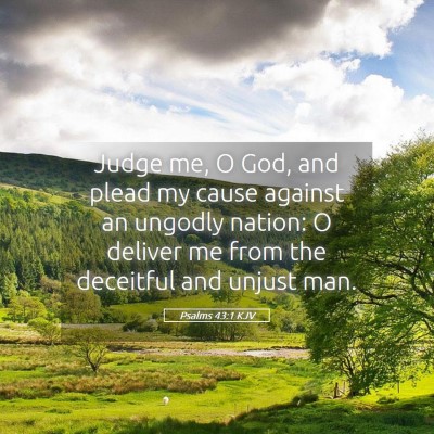Picture 05 - Psalms 43:1 KJV - Judge me, O God, and plead my cause against an - Bible Verse Picture