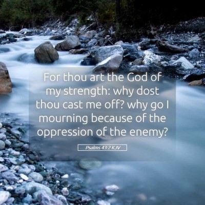 Picture 05 - Psalms 43:2 KJV - For thou art the God of my strength: why dost - Bible Verse Picture