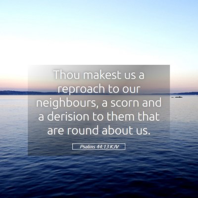 Picture 05 - Psalms 44:13 KJV - Thou makest us a reproach to our neighbours, a - Bible Verse Picture