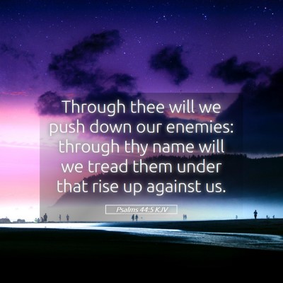 Picture 05 - Psalms 44:5 KJV - Through thee will we push down our enemies: - Bible Verse Picture