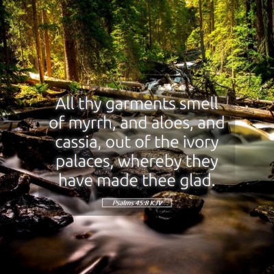 Picture 05 - Psalms 45:8 KJV - All thy garments smell of myrrh, and aloes, and - Bible Verse Picture