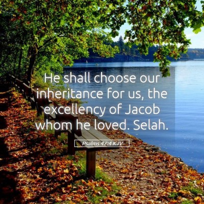 Picture 05 - Psalms 47:4 KJV - He shall choose our inheritance for us, the - Bible Verse Picture