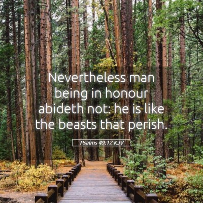 Picture 05 - Psalms 49:12 KJV - Nevertheless man being in honour abideth not: he - Bible Verse Picture