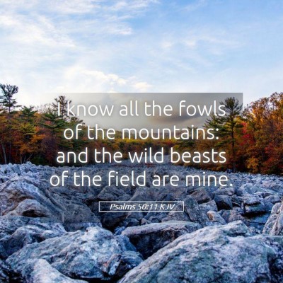 Picture 05 - Psalms 50:11 KJV - I know all the fowls of the mountains: and the - Bible Verse Picture