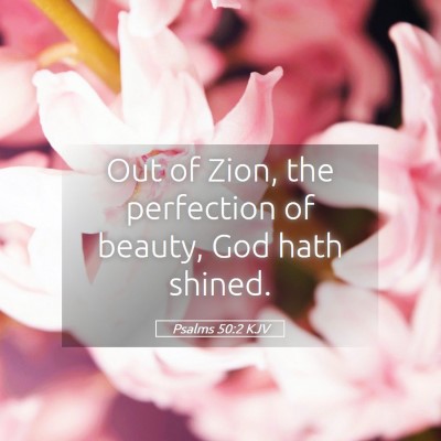 Picture 05 - Psalms 50:2 KJV - Out of Zion, the perfection of beauty, God hath - Bible Verse Picture