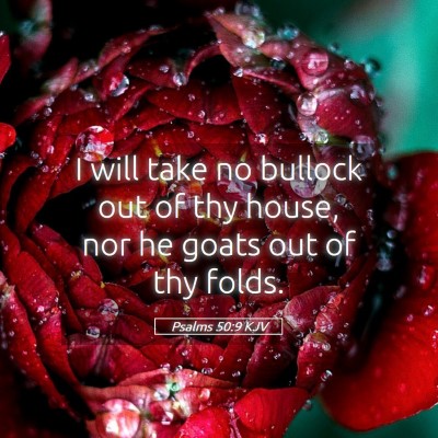 Picture 05 - Psalms 50:9 KJV - I will take no bullock out of thy house, nor he - Bible Verse Picture