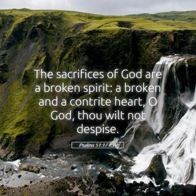 Picture 05 - Psalms 51:17 KJV - The sacrifices of God are a broken spirit: a - Bible Verse Picture
