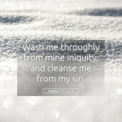 Picture 05 - Psalms 51:2 KJV - Wash me throughly from mine iniquity, and cleanse - Bible Verse Picture