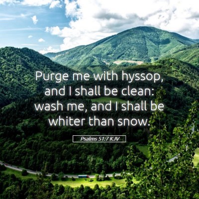 Picture 05 - Psalms 51:7 KJV - Purge me with hyssop, and I shall be clean: wash - Bible Verse Picture