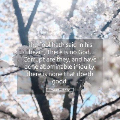 Picture 05 - Psalms 53:1 KJV - The fool hath said in his heart, There is no God. - Bible Verse Picture
