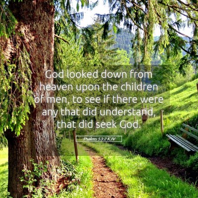 Picture 05 - Psalms 53:2 KJV - God looked down from heaven upon the children of - Bible Verse Picture