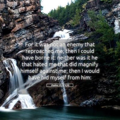 Picture 05 - Psalms 55:12 KJV - For it was not an enemy that reproached me; then - Bible Verse Picture