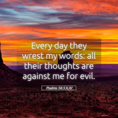 Picture 05 - Psalms 56:5 KJV - Every day they wrest my words: all their thoughts - Bible Verse Picture