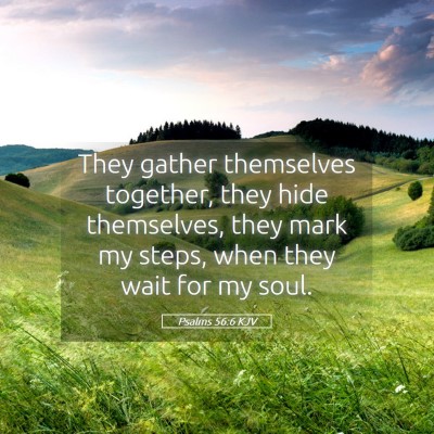 Picture 05 - Psalms 56:6 KJV - They gather themselves together, they hide - Bible Verse Picture