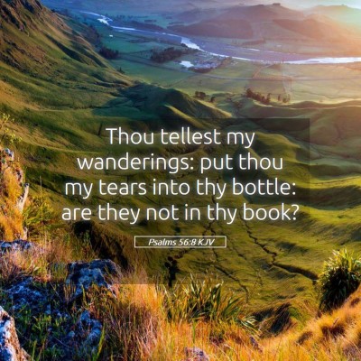 Picture 05 - Psalms 56:8 KJV - Thou tellest my wanderings: put thou my tears - Bible Verse Picture
