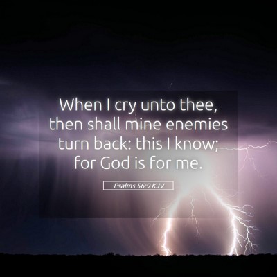Picture 05 - Psalms 56:9 KJV - When I cry unto thee, then shall mine enemies - Bible Verse Picture