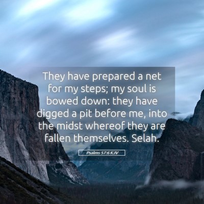 Picture 05 - Psalms 57:6 KJV - They have prepared a net for my steps; my soul is - Bible Verse Picture