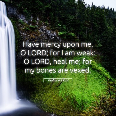 Picture 05 - Psalms 6:2 KJV - Have mercy upon me, O LORD; for I am weak: O - Bible Verse Picture