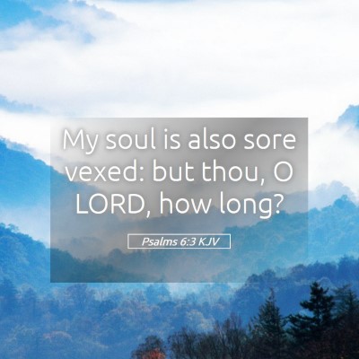 Picture 05 - Psalms 6:3 KJV - My soul is also sore vexed: but thou, O LORD, how - Bible Verse Picture