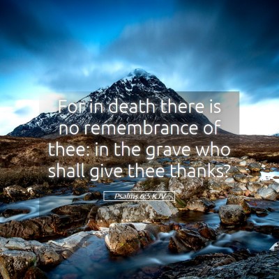 Picture 05 - Psalms 6:5 KJV - For in death there is no remembrance of thee: in - Bible Verse Picture