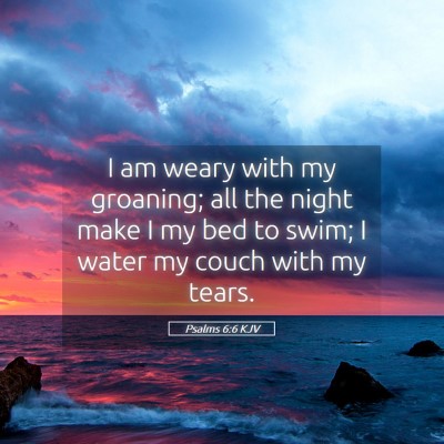 Picture 05 - Psalms 6:6 KJV - I am weary with my groaning; all the night make I - Bible Verse Picture