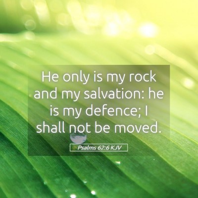 Picture 05 - Psalms 62:6 KJV - He only is my rock and my salvation: he is my - Bible Verse Picture