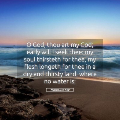 Picture 05 - Psalms 63:1 KJV - O God, thou art my God; early will I seek thee: - Bible Verse Picture