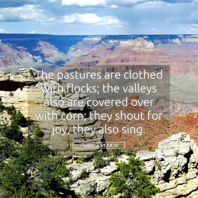 Picture 05 - Psalms 65:13 KJV - The pastures are clothed with flocks; the valleys - Bible Verse Picture