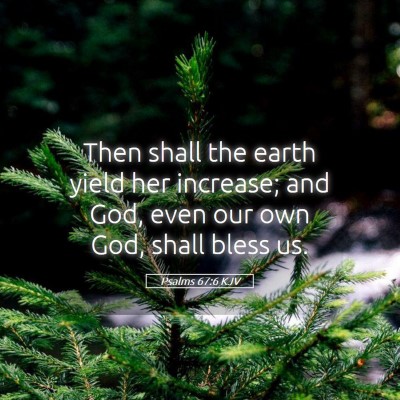 Picture 05 - Psalms 67:6 KJV - Then shall the earth yield her increase; and God, - Bible Verse Picture