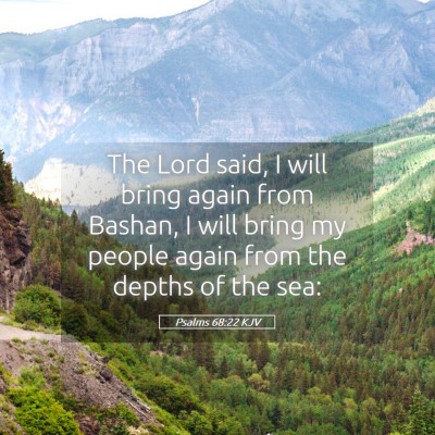 Picture 05 - Psalms 68:22 KJV - The Lord said, I will bring again from Bashan, I - Bible Verse Picture