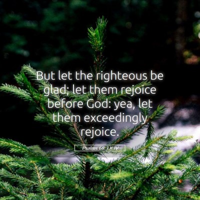 Picture 05 - Psalms 68:3 KJV - But let the righteous be glad; let them rejoice - Bible Verse Picture