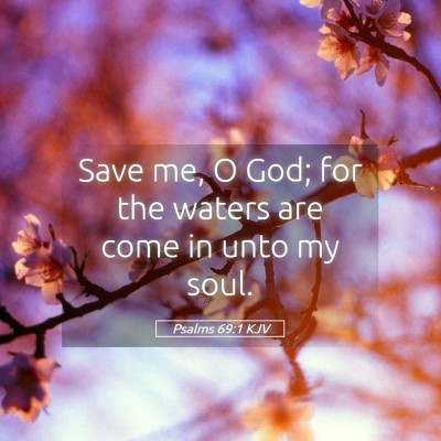 Picture 05 - Psalms 69:1 KJV - Save me, O God; for the waters are come in unto - Bible Verse Picture