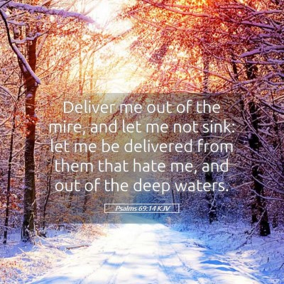 Picture 05 - Psalms 69:14 KJV - Deliver me out of the mire, and let me not sink: - Bible Verse Picture
