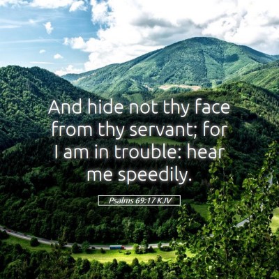 Picture 05 - Psalms 69:17 KJV - And hide not thy face from thy servant; for I am - Bible Verse Picture