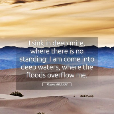 Picture 05 - Psalms 69:2 KJV - I sink in deep mire, where there is no standing: - Bible Verse Picture