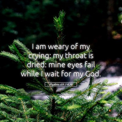 Picture 05 - Psalms 69:3 KJV - I am weary of my crying: my throat is dried: mine - Bible Verse Picture