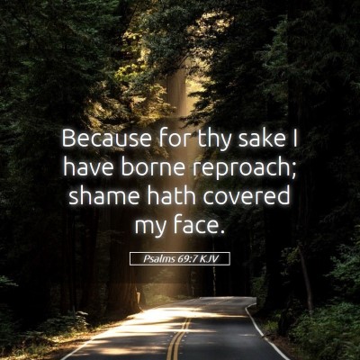 Picture 05 - Psalms 69:7 KJV - Because for thy sake I have borne reproach; shame - Bible Verse Picture